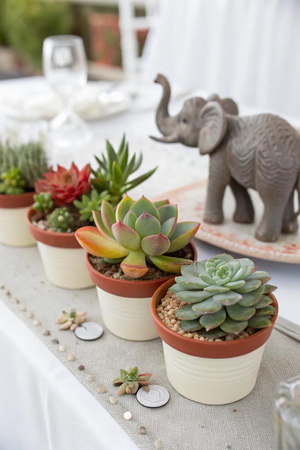 Trendy elephant and succulent centerpiece.