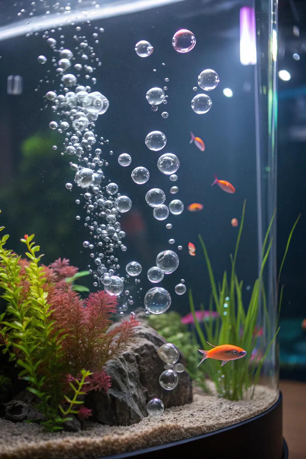 Illuminated bubbles create a whimsical and enchanting visual.