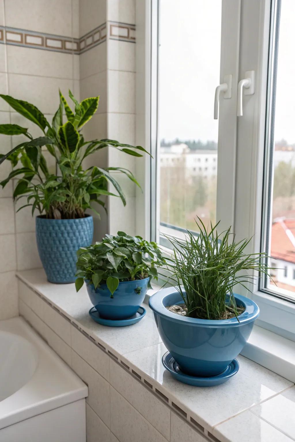 Blue plant pots add a fresh and lively touch to this vibrant bathroom.