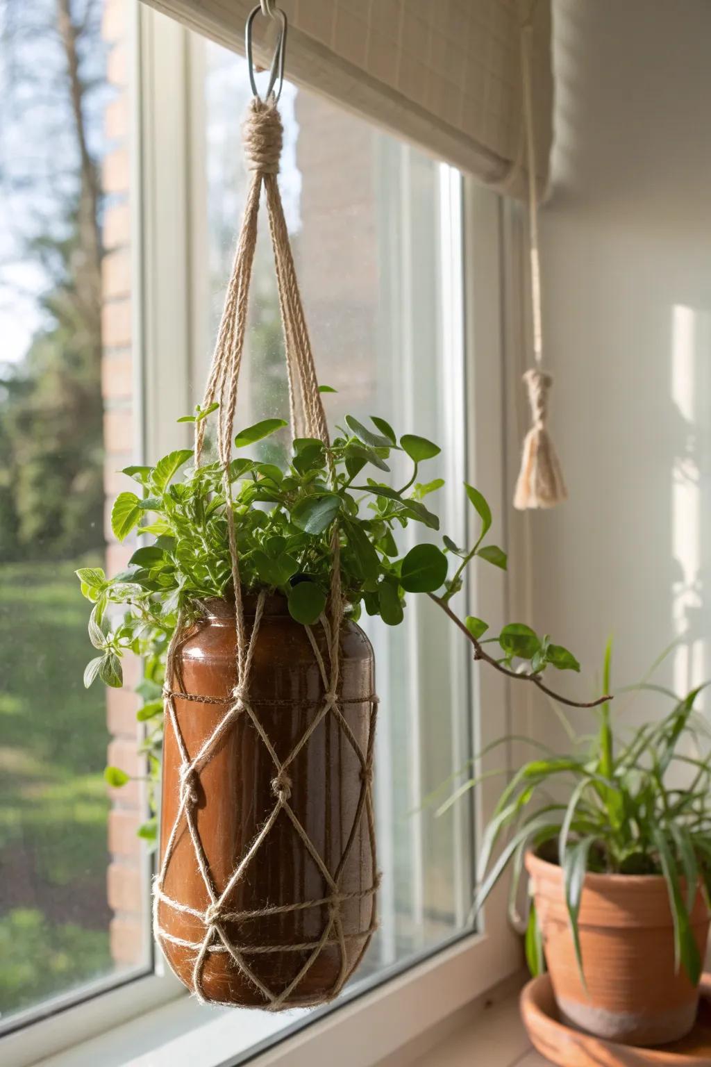 Breathe life into your space with these exquisite DIY hanging planters!