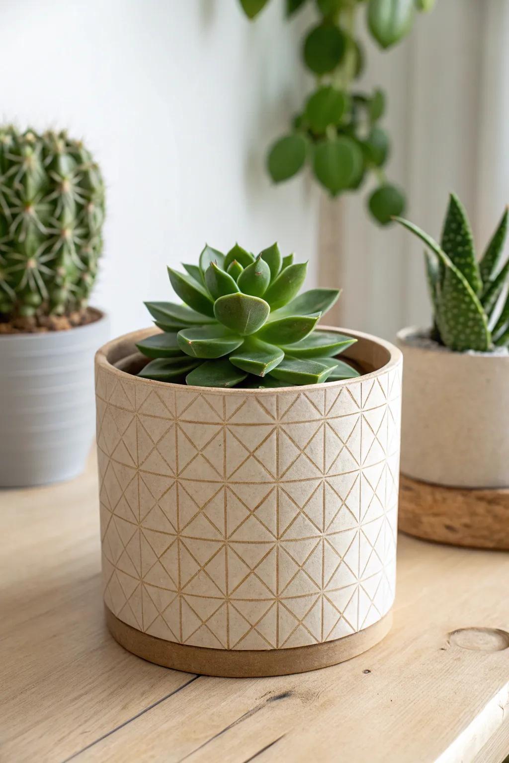 Bring nature home with this chic and eco-friendly cardboard planter, where simplicity meets elegance.