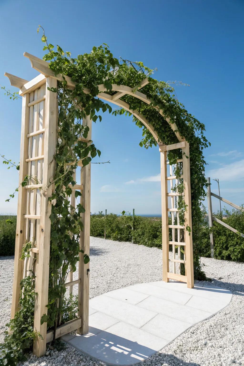 Elevate your garden's entrance with a stunning Scandinavian garden archway adorned with vibrant climbing beans.