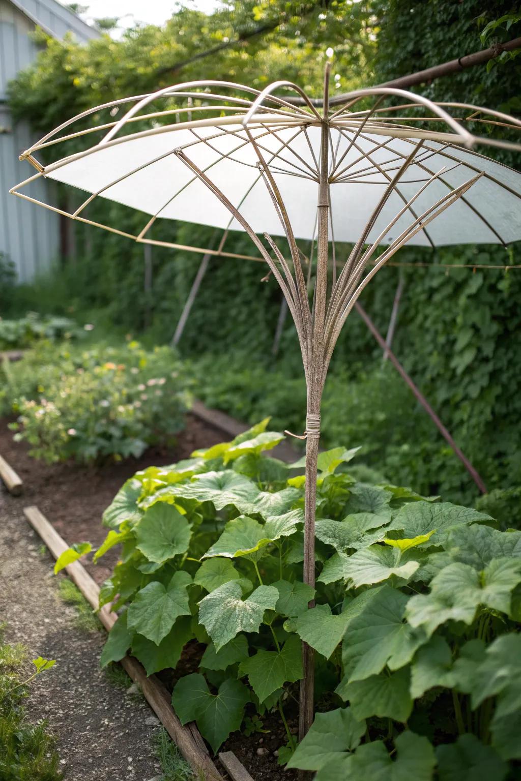 Transform your garden with a chic umbrella frame trellis—where simplicity meets natural beauty.