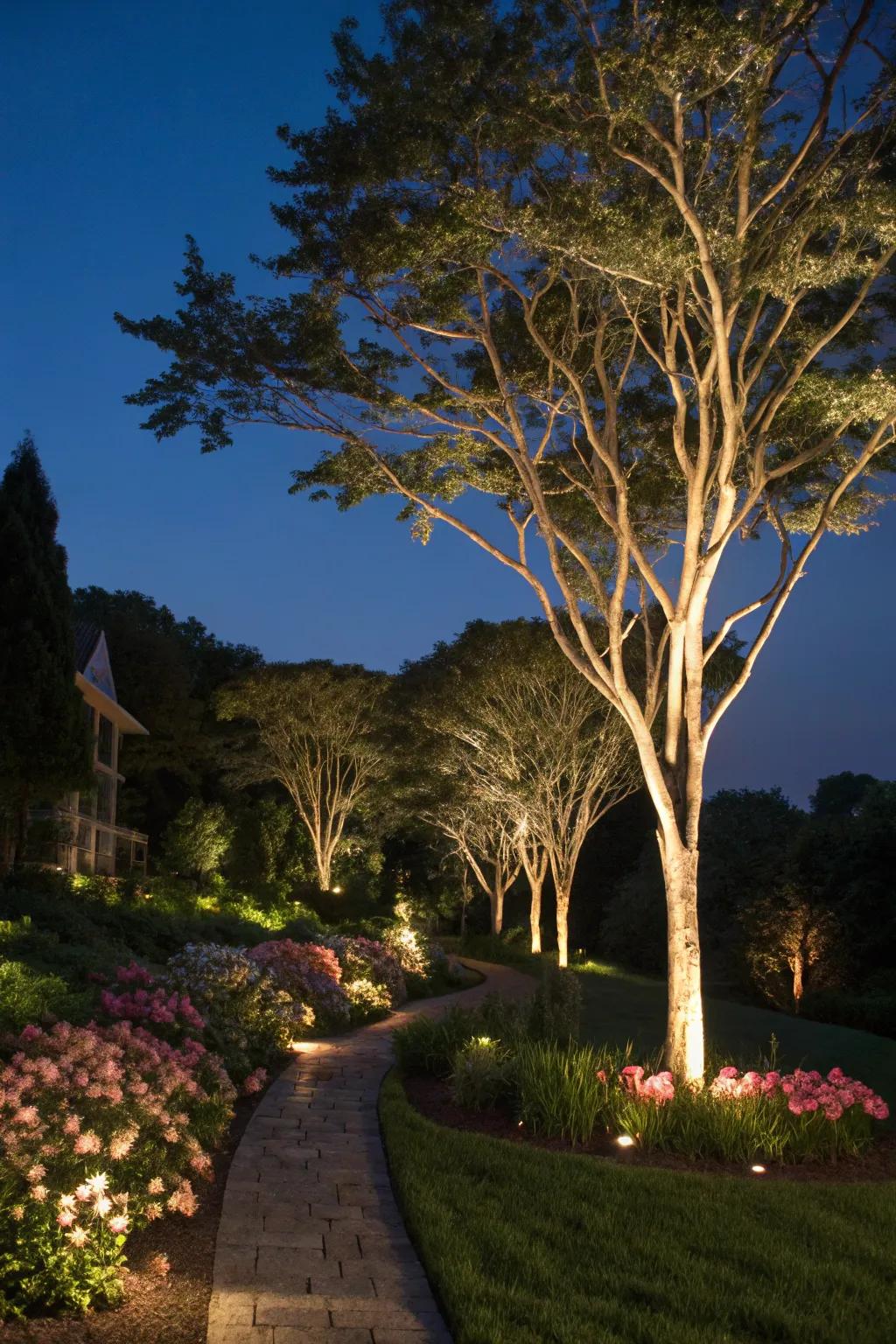 Dramatic solar uplights add depth to garden features.