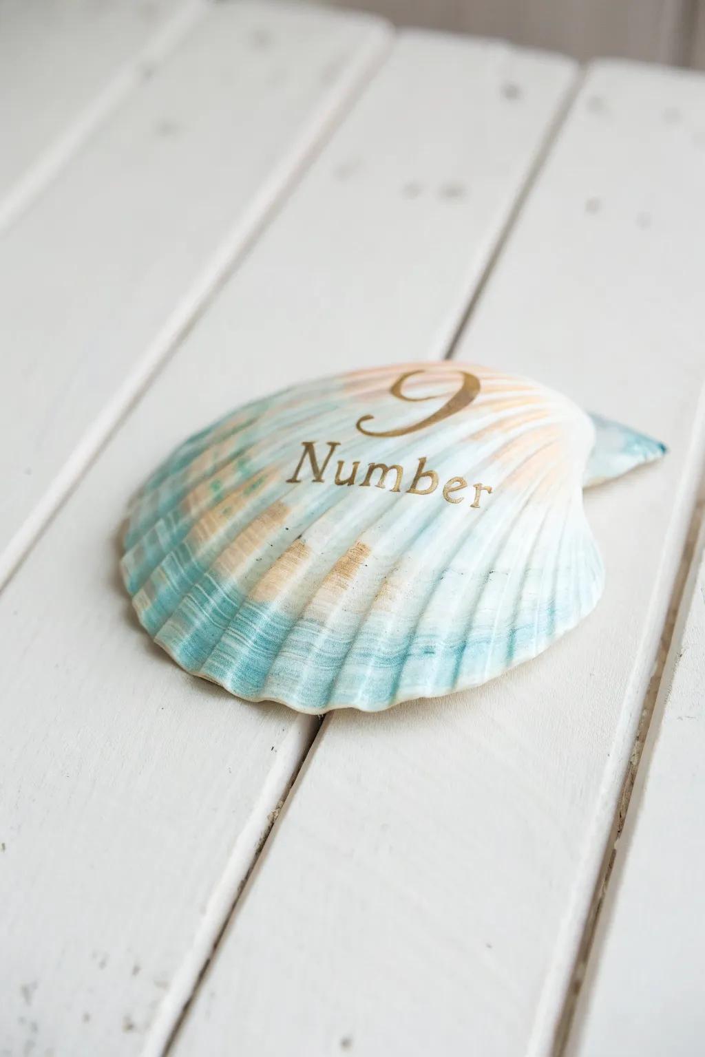 Countdown to coastal charm with our beautifully numbered seashells.