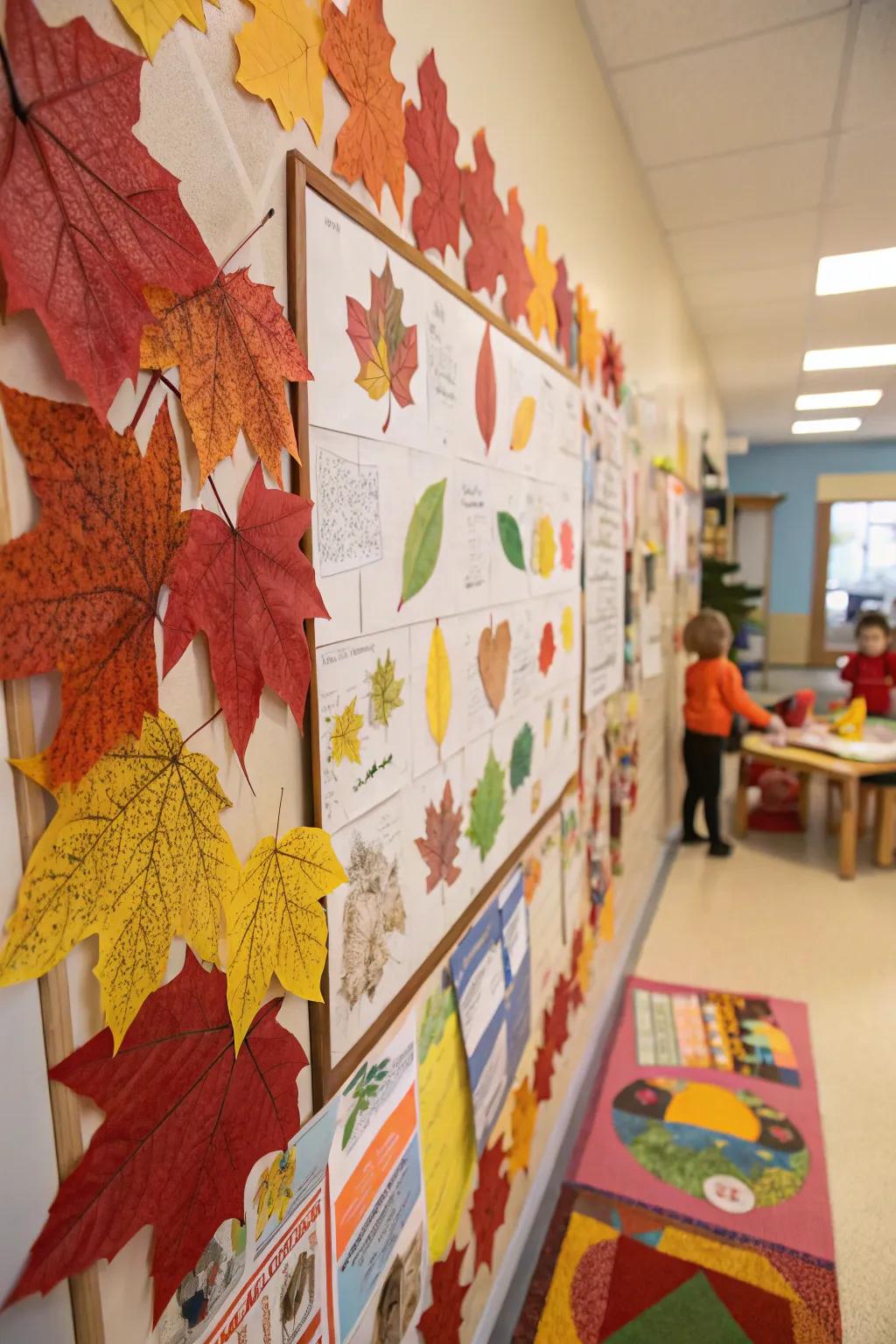 Fall Color Collage board with vibrant autumn colors.