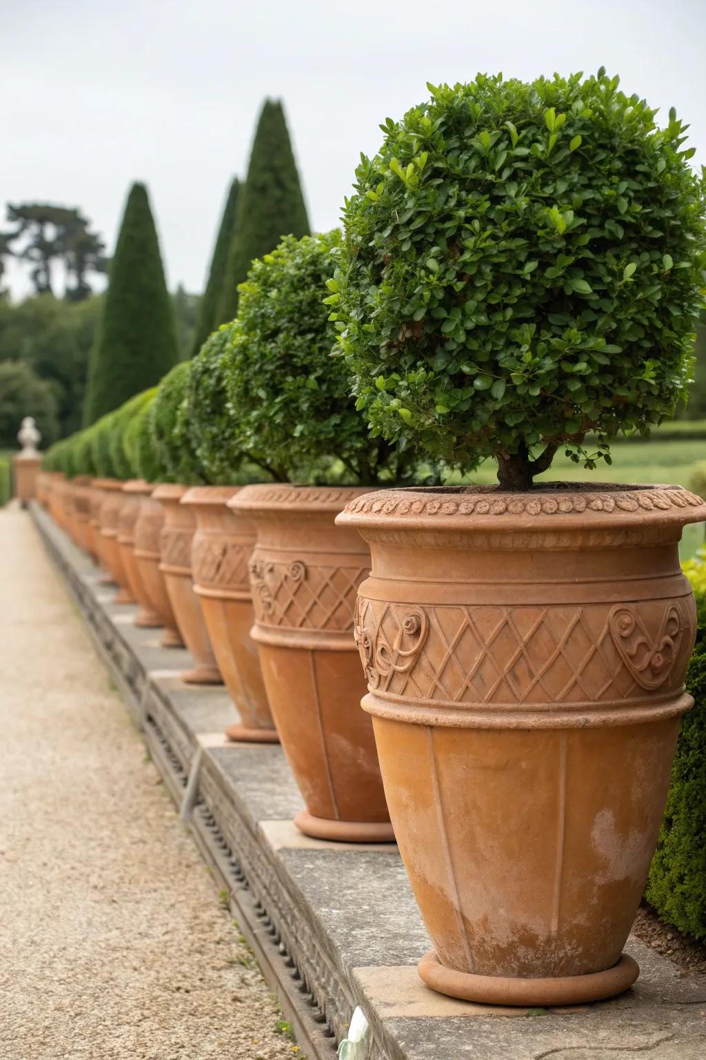 Transform your garden's edge with a parade of elegant terracotta pots, blending style with nature's charm.