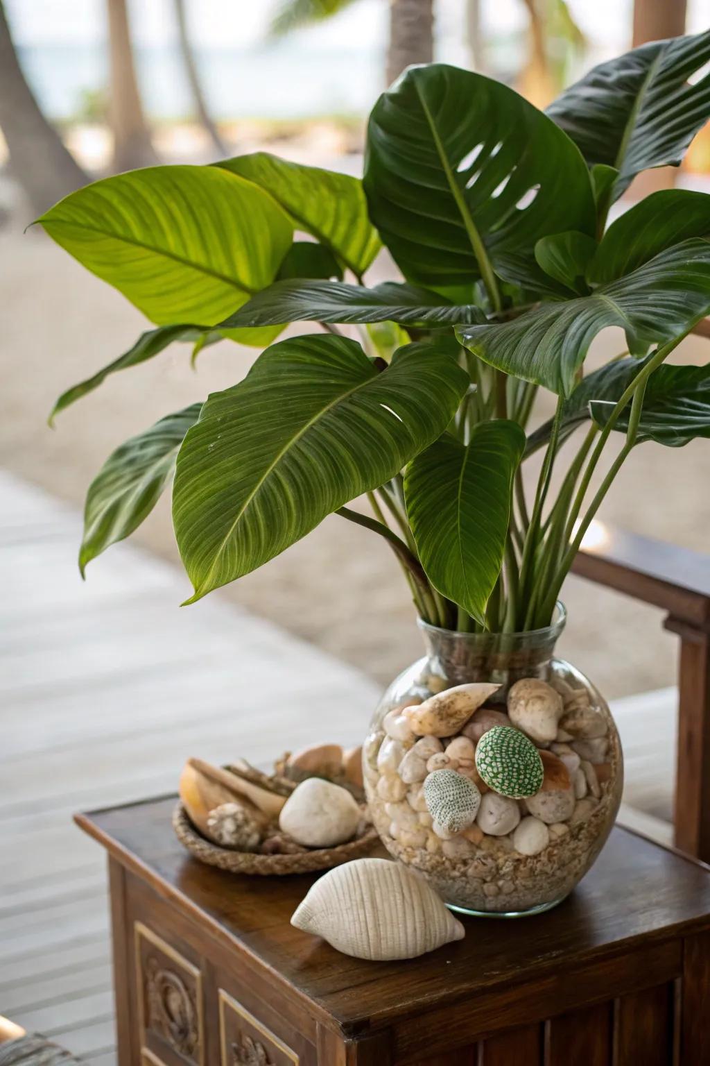 Create a lush, beachy feel with tropical leaves and shells.