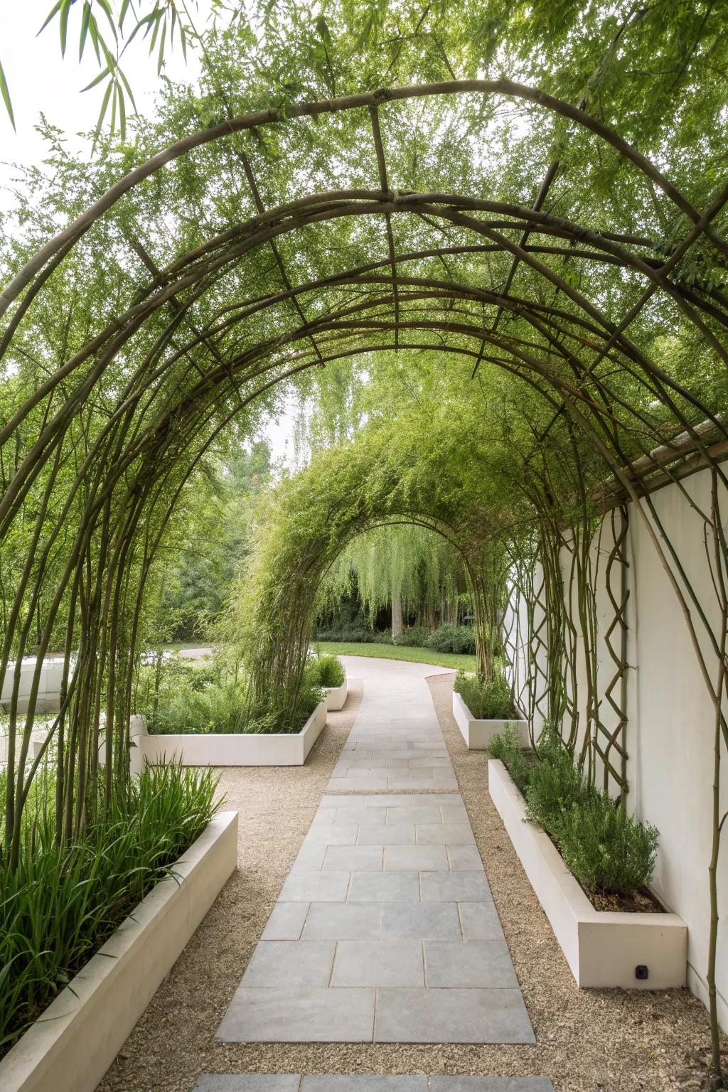 Embrace nature's artistry with a living willow structure – the perfect blend of simplicity, craft, and natural beauty for your garden sanctuary.