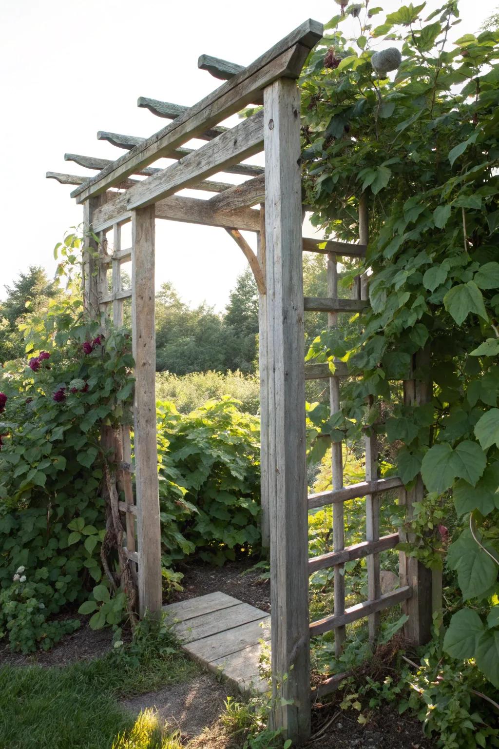 Embrace rustic elegance with a handcrafted wooden trellis, perfect for your garden sanctuary.