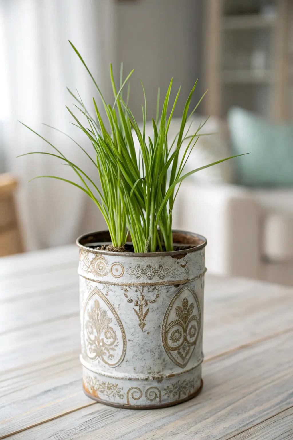 Breathe new life into vintage charm with upcycled tin can planters!