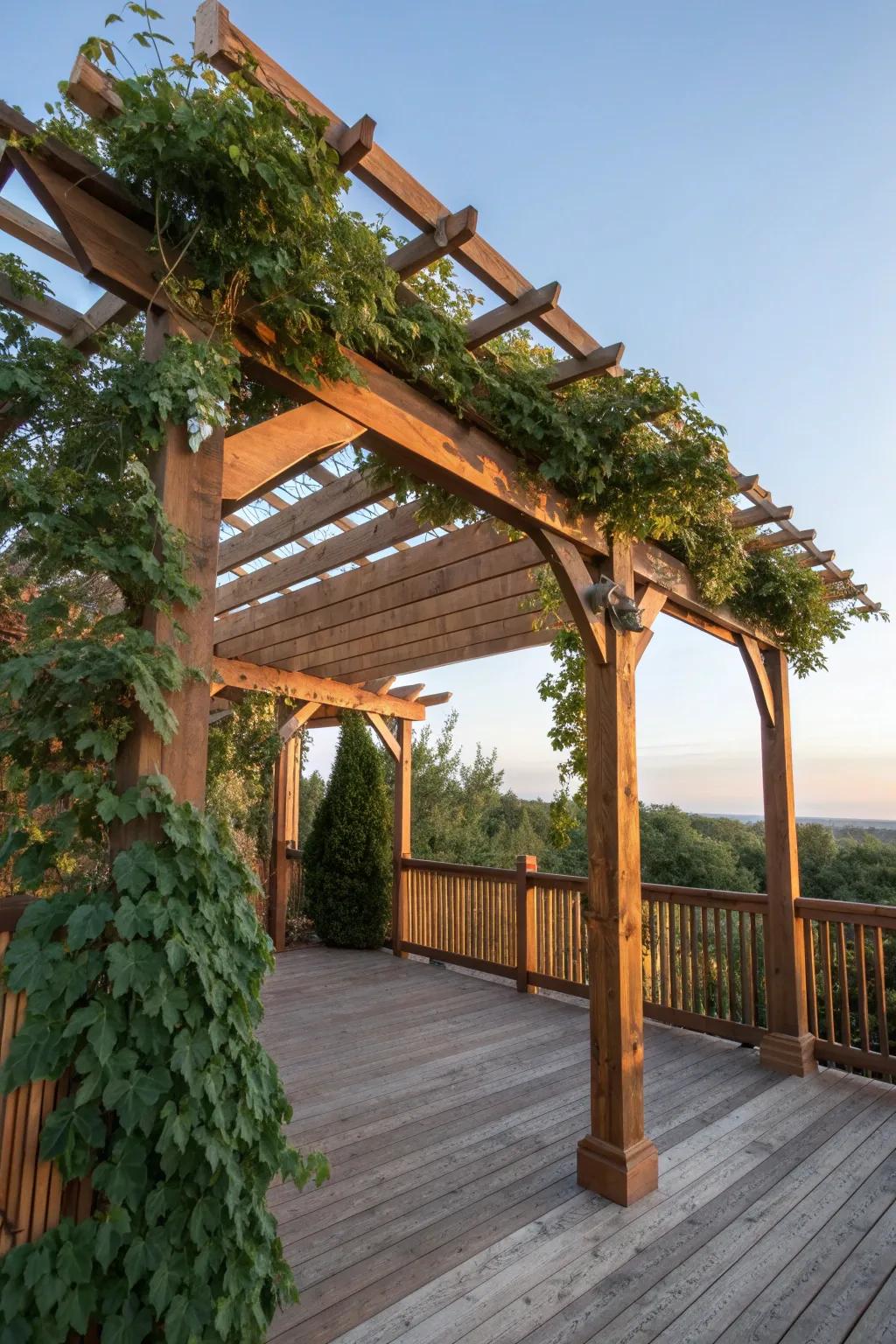 Transform your deck into a Pergola Paradise with timeless craftsmanship and natural beauty.