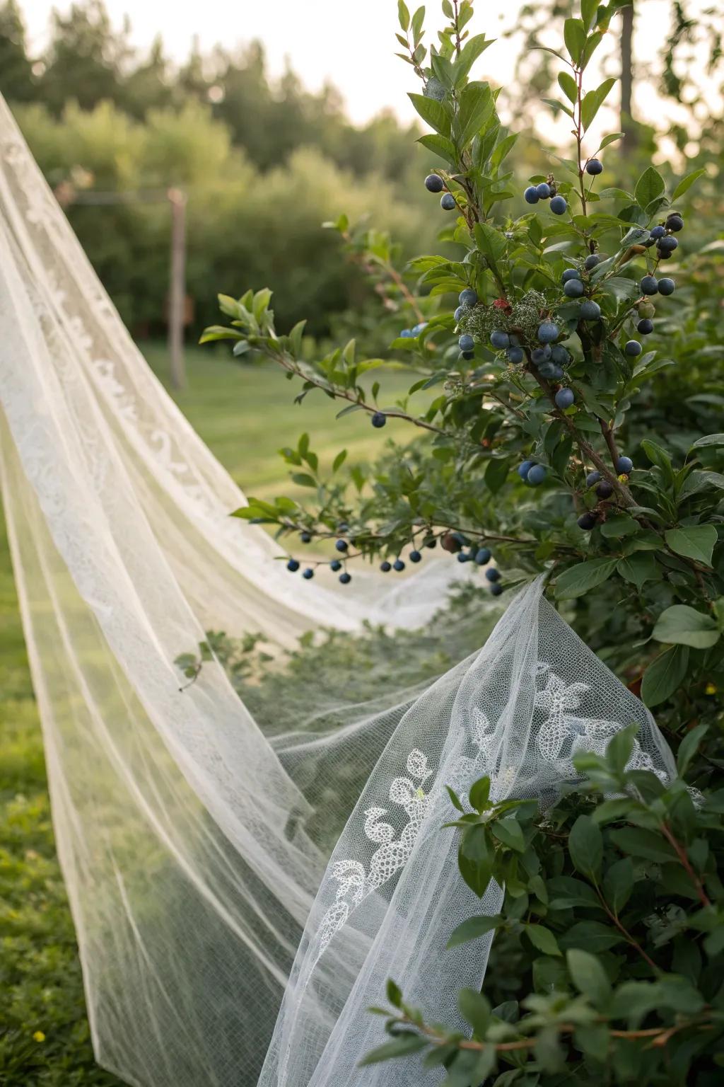 Embrace versatility in your garden with elegant, adjustable netting covers that blend simplicity with natural charm.