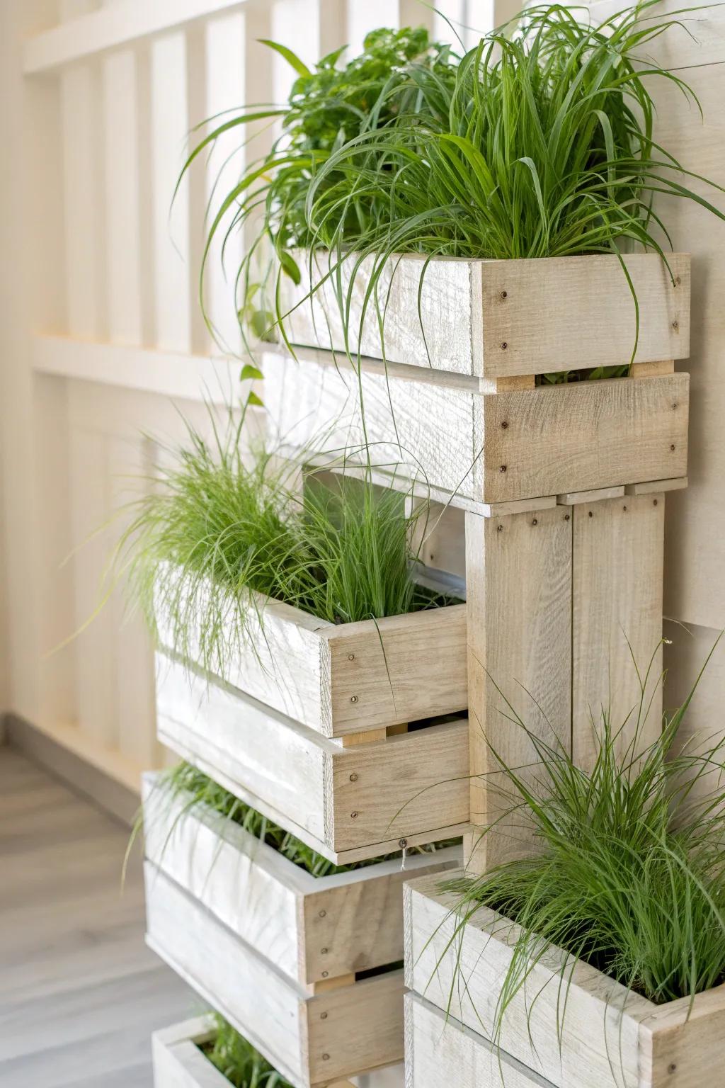 Elevate your space with the simplicity and elegance of a vertical lemongrass garden.