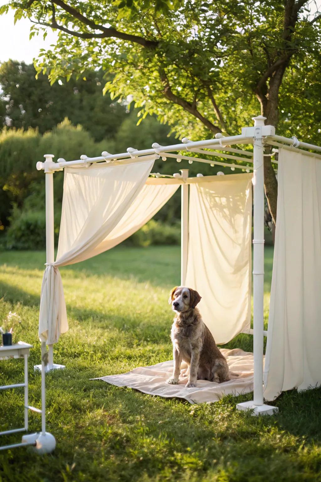 Create a cozy corner for your furry friend with this chic DIY PVC pipe canopy—where simplicity meets style!