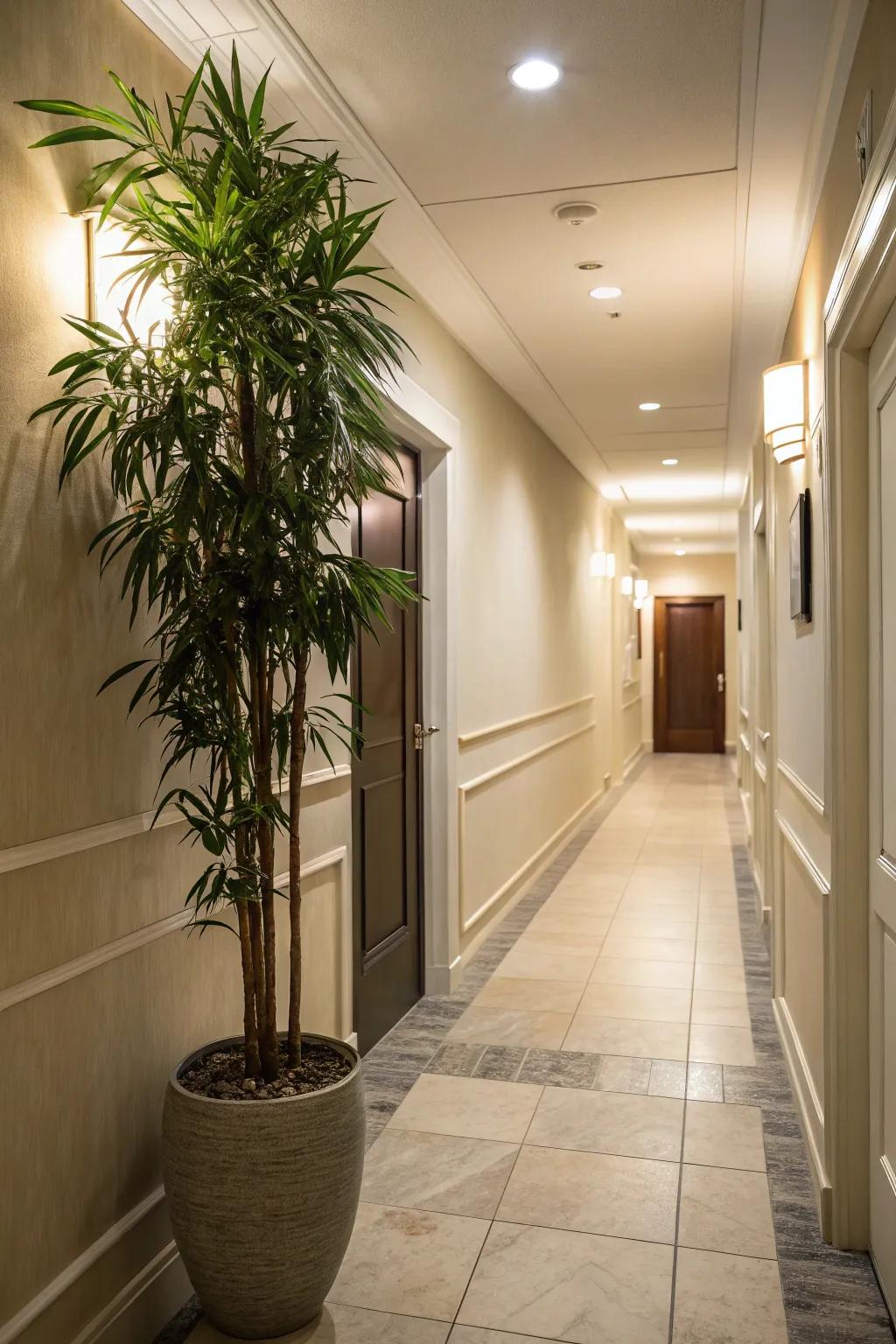Plants bring life and vibrancy to narrow spaces.