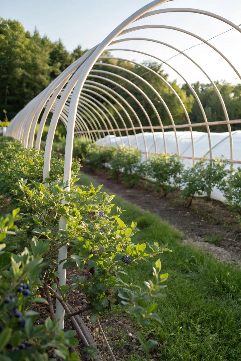 Embrace simplicity and natural beauty with a stylish hoop house for your garden.