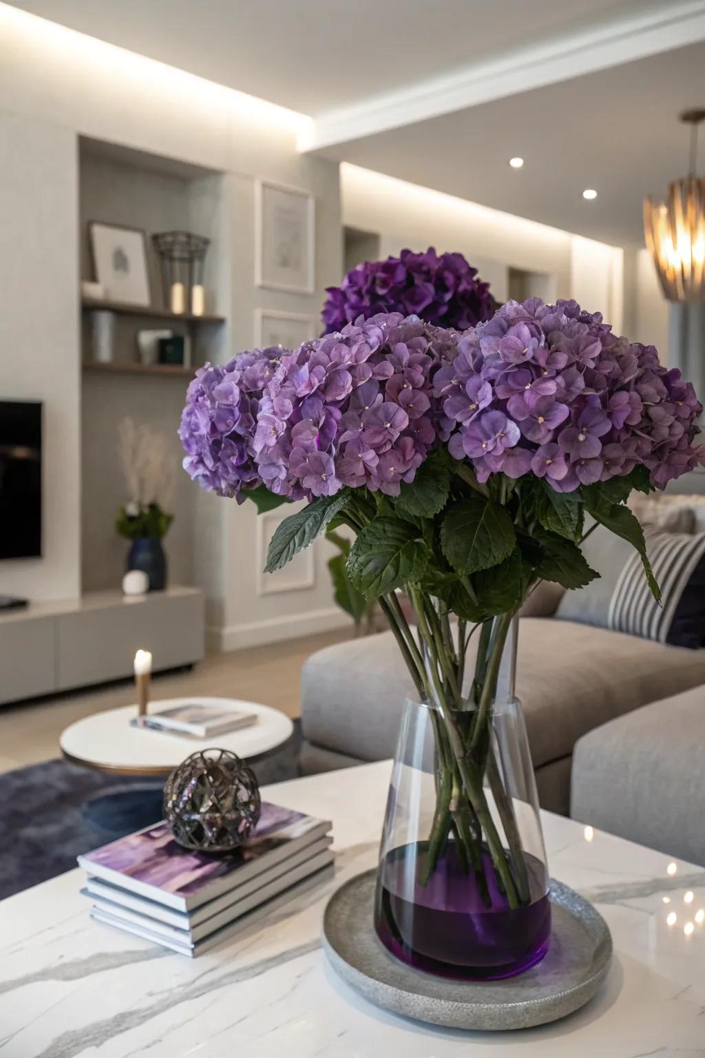 A striking monochrome display of purple hydrangeas.